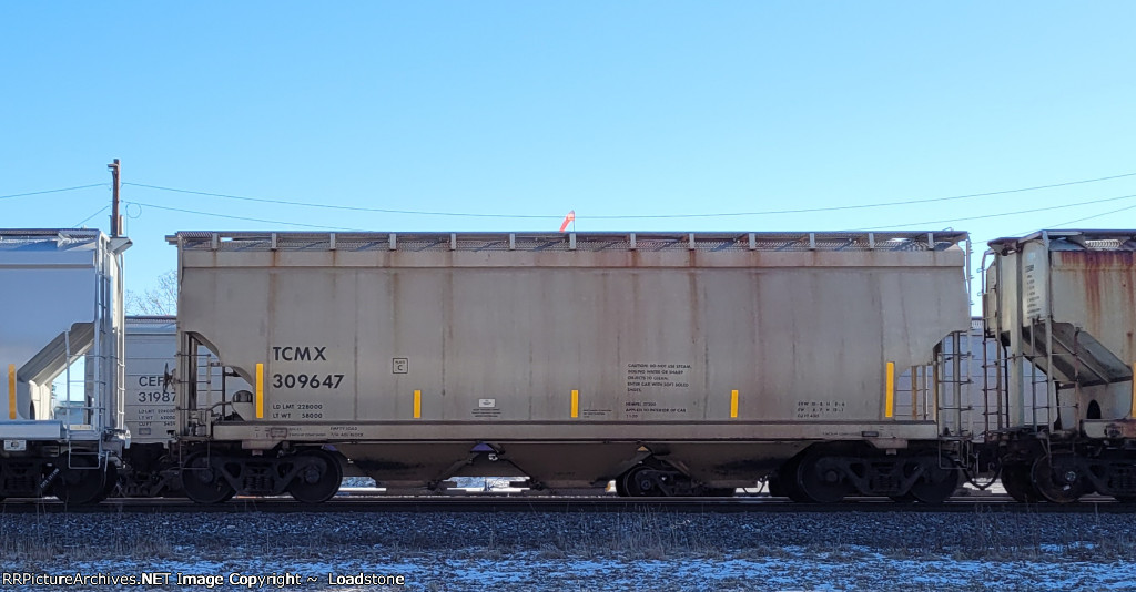 TCMX 309647